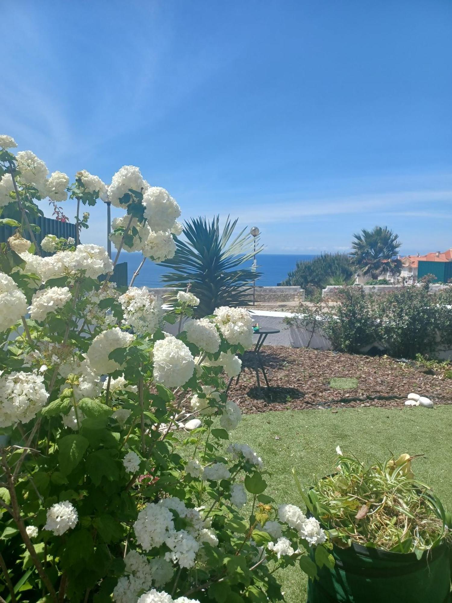 Ericeira Su Villa'S 外观 照片