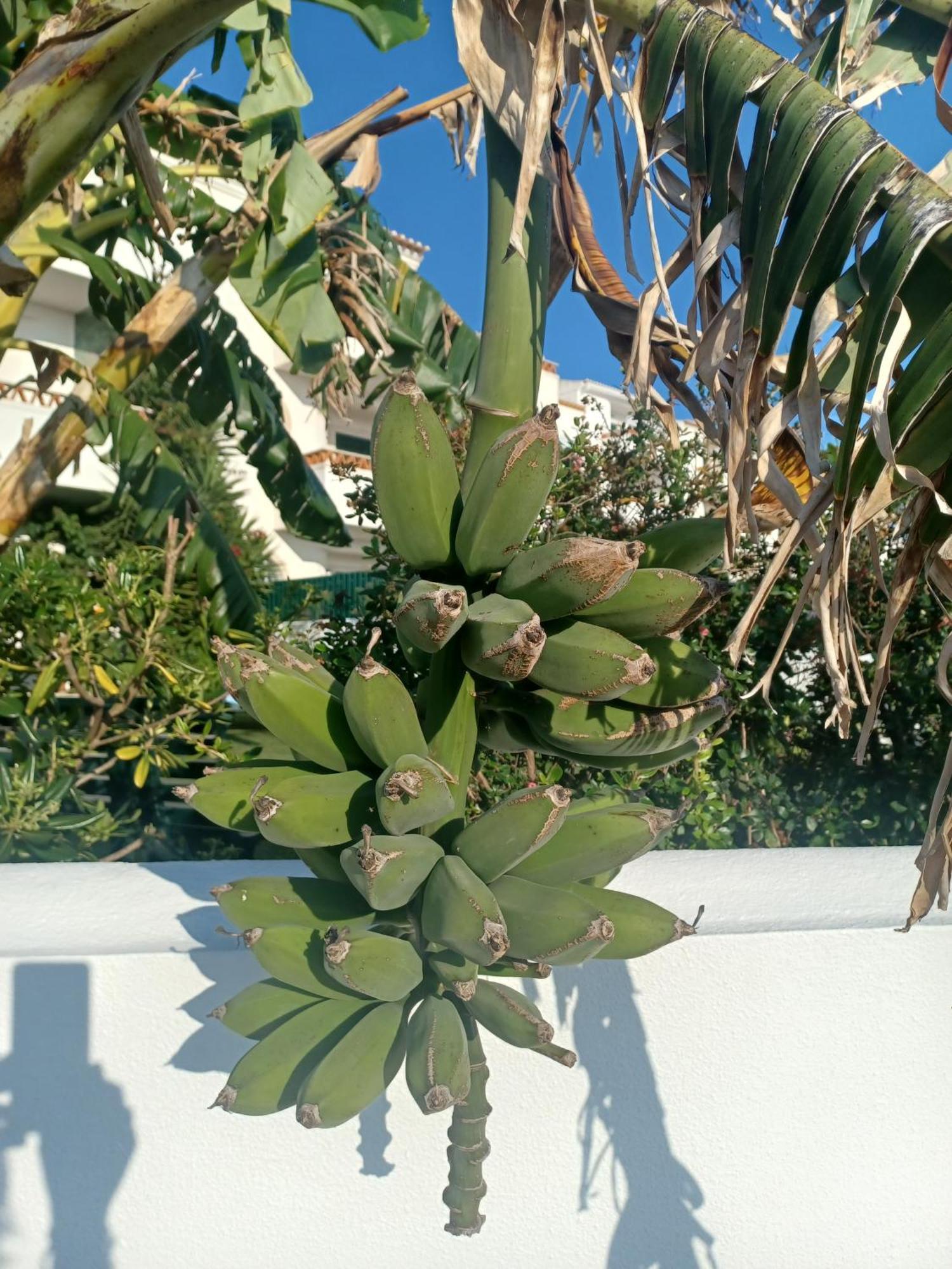 Ericeira Su Villa'S 外观 照片