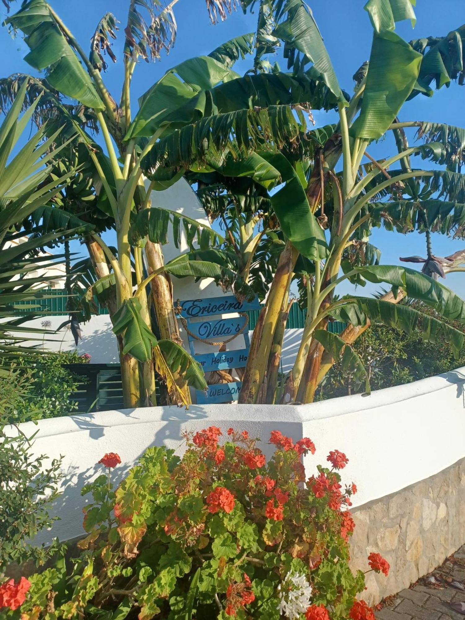 Ericeira Su Villa'S 外观 照片