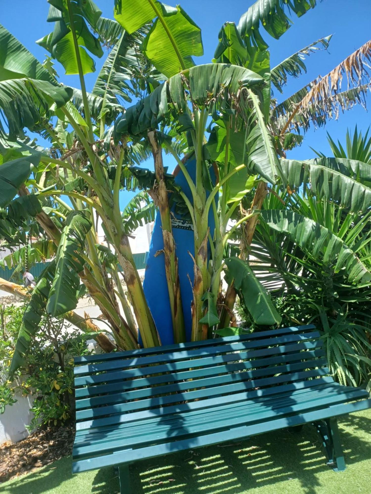 Ericeira Su Villa'S 外观 照片