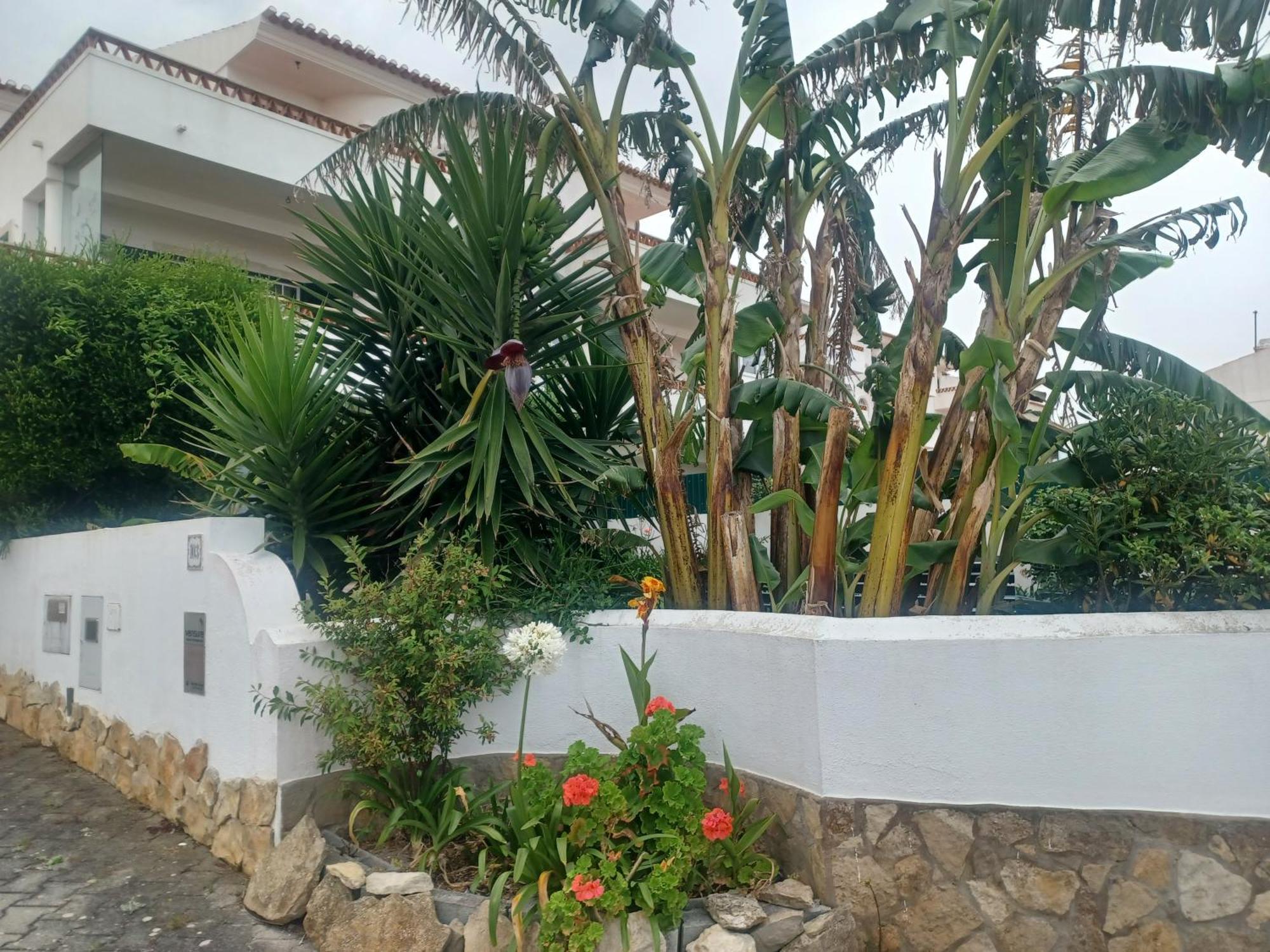 Ericeira Su Villa'S 外观 照片